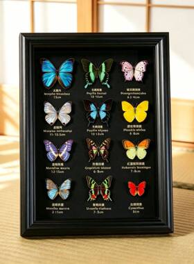 中空2cm立体蝴蝶标本相框干花昆虫diy展示框木质画框高级感黑色相