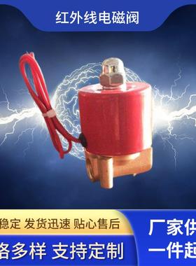 瓦斯红外线电磁阀瓦斯炉头红色2W-025-08燃气电磁阀AC220 DC24