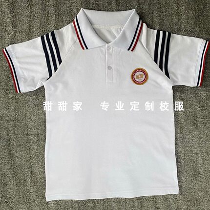 中小学校校服夏季短袖高中生POLO衫班服男女园服班服夏装T恤