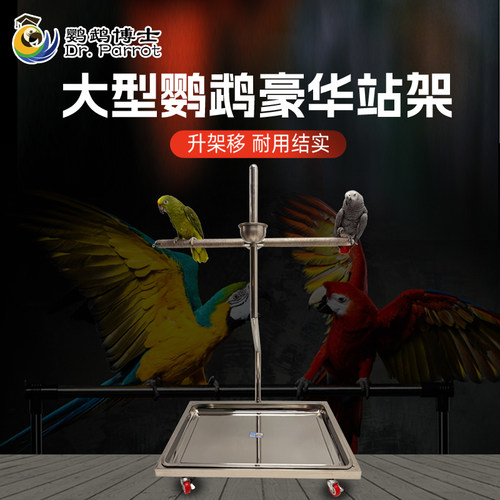 中大型鹦鹉不锈钢金刚灰鹦鹉站架