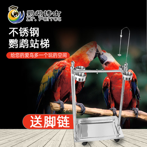 中大型鹦鹉不锈钢升降架金刚站架