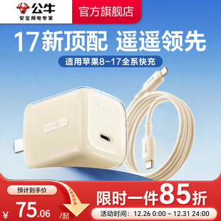 30W一套装 适用苹果17充电器线iPhone17ProMax快充头16手机typec数据线15正品 公牛冰立方新款 3C国家认证