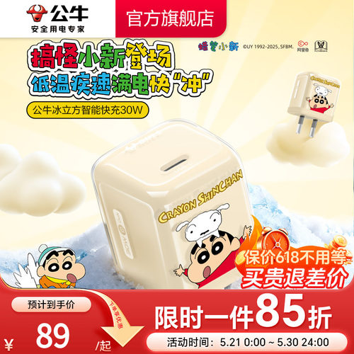 【苹果17首选】公牛蜡笔小新IP联名冰立方充电头适用苹果充电器线iPhone17P快充头16手机typec数据线正品30W