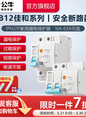 公牛旗舰漏电保护器2P小型断路器家用空开电闸开关25A升级款LB12
