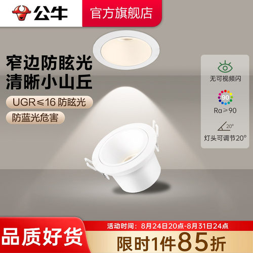 公牛角度可调-防眩光小山丘射灯