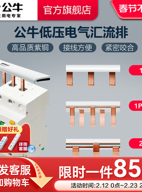 公牛空气开关断路器1P1P+N2P空开接线排接线端子汇流排
