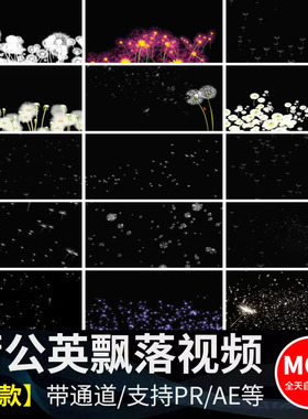 唯美白色蒲公英漫天飞舞上升飘落漂浮特效带透明通道MOV视频素材