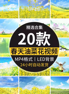 唯美卡通风春天油菜花地金黄色花海风景色LED大屏幕背景视频素材