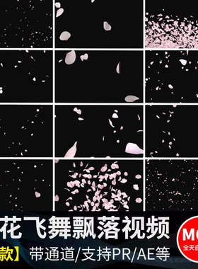 唯美浪漫粉红色樱花瓣纷飞飘散飘落动态特效MOV透明通道视频素材