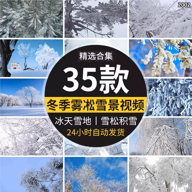 高清实拍自然风景唯美冬季雾松雪景冬天树枝积雪结冰户外视频素材