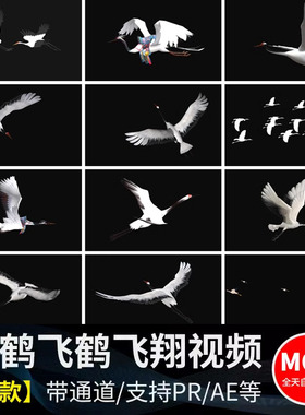 白色仙鹤飞鹤群鹤飞翔mov透明通道后期合成动态特效绿幕视频素材