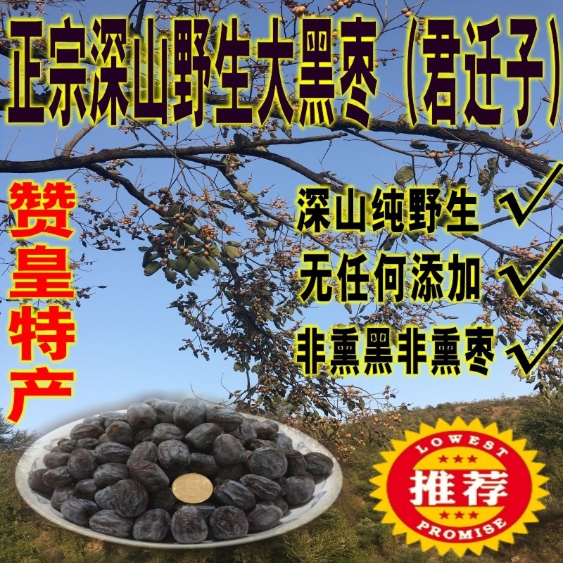 药用新鲜无核小黑枣君迁子软枣小柿子软枣子黑枣子500g克