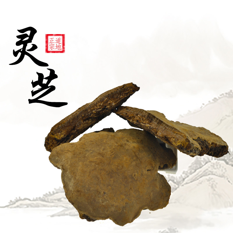 域阁养生堂 西藏灵芝斑褐孔菌灵芝树舌灵芝茶灵芝粉500克包邮