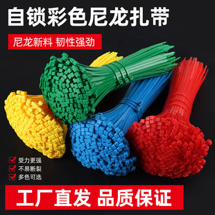 网线捆扎带理线卡扣带彩束线带色标 彩色尼龙扎带自锁捆绑带自锁式