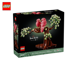 LEGO乐高21365创意爱情鸟男女孩积木拼装礼物收藏玩具