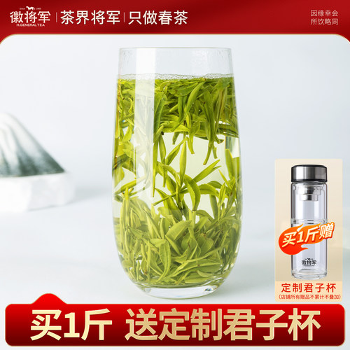 正宗明前黄山毛峰买1斤送君子杯