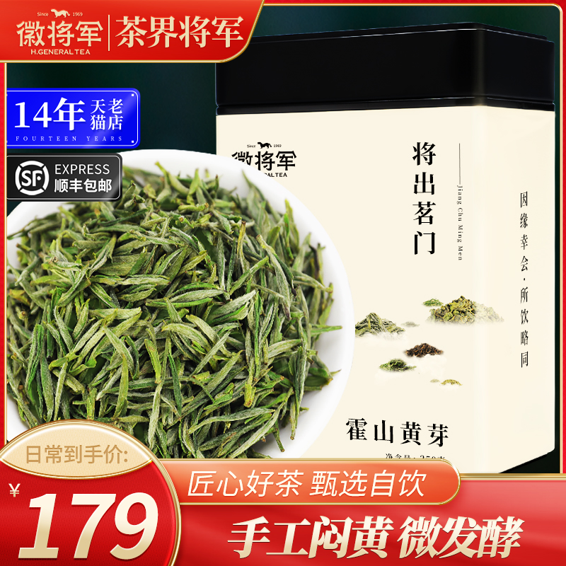 徽将军2024新茶霍山黄芽250g明前特级嫩芽原产地黄茶茶叶安徽春茶-封面