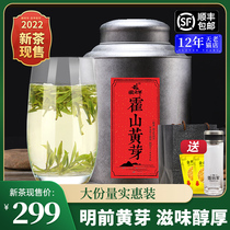 2022新茶现售徽将军明前特级霍山黄芽茶叶500g黄茶礼盒装黄芽