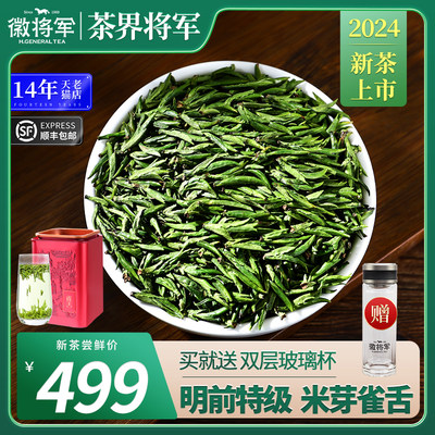 2024新茶早春特级雀舌250g