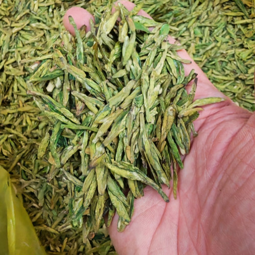 2026年明前龙井正宗杭州龙井茶新茶精品口粮茶老茶客爆款推荐