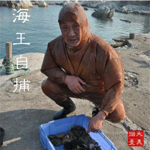 烟台长岛纯淡干海参礼盒国标刺参深海辽刺参野生海鲜怀孕补高考