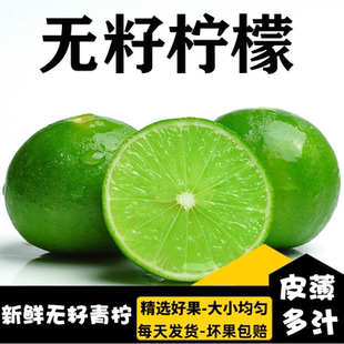 泰國品種 國產(chǎn)無籽青檸檬新鮮小檸檬5斤飲品店餐廳酒吧專用全