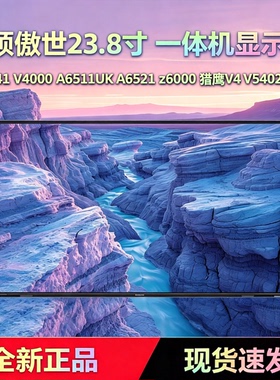 华硕傲世一体机电脑屏幕M/V4000 V241 A6511 A6521 猎鹰V4 V5402