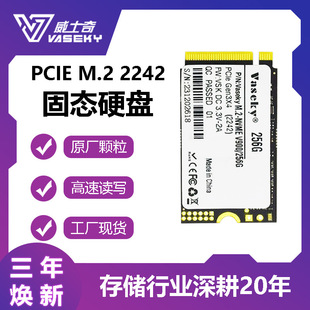 PCIE Vaseky威士奇2242 M.22280 NVME 2TB 协议高速固态硬盘