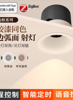 涂鸦智能射灯手机APP调光筒灯
