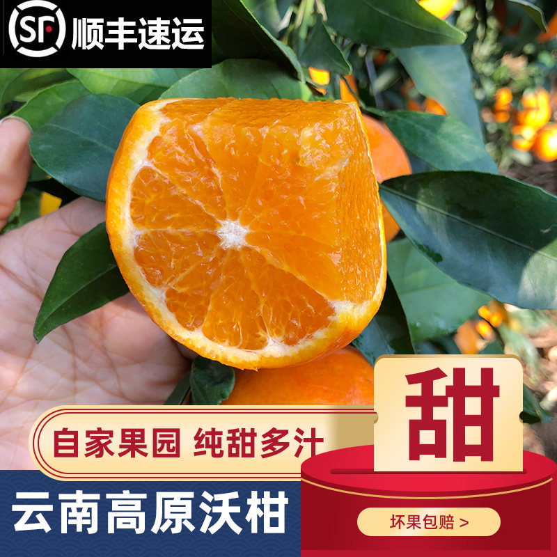 云南大理宾川沃柑香甜多汁无渣孕妇水果不打蜡现采现发整箱包邮