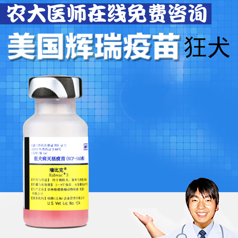 辉瑞包邮美国保健泰迪金毛狗狗