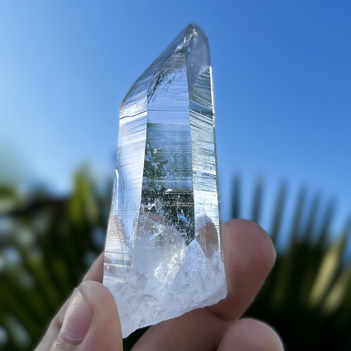 列姆利亚种子水晶Lemuria
