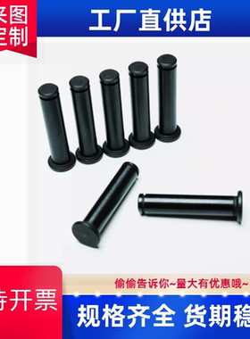 定制铰链销HCCGH5/PHCCG5/PHCCGH5/SHCCG5-HCCGH6/PHCCG8PHCCGH10