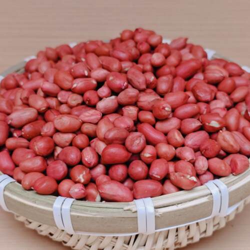 农家红花生米新鲜花生米现摘现发