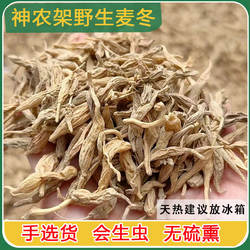 神农架麦冬野生麦冬中药材麦冬250g干货泡茶可搭枸杞野生黄芪