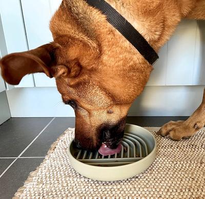 跨境硅胶宠物慢食碗硅胶舔食垫食品级宠物狗狗猫食盆防噎慢食狗碗