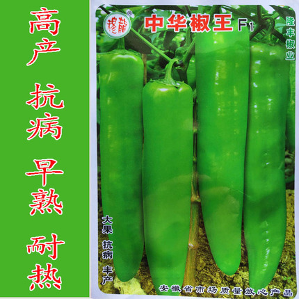 辣椒种子大羊角椒四季蔬菜种子
