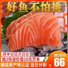 400g鲜三文鱼 挪威新鲜三文鱼刺身中段 冰鲜即食生鱼片三文鱼整条