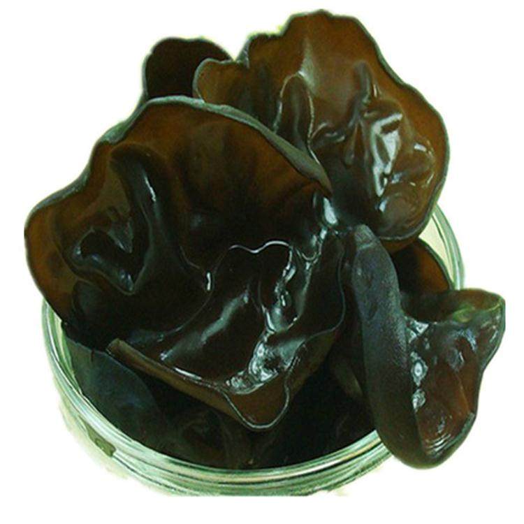 黑木耳野生木耳东北秋