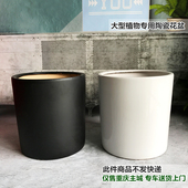 重庆送货上门 大型陶瓷花盆 客厅大植物专用陶瓷花盆发财树天堂鸟