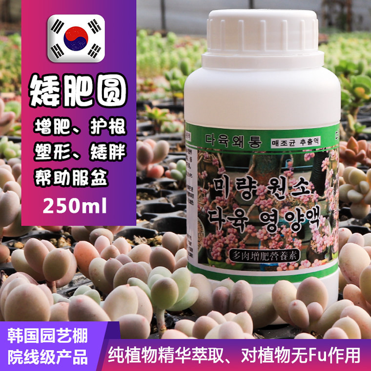 韩国矮胖风植物增色剂营养液