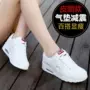 Mô hình bùng nổ mùa hè Học sinh Hàn Quốc thảm thoáng khí giày chạy bộ nữ dày lưới đáy dày để tăng thấp giúp giày xu hướng - Giày cắt thấp giày dr martens nữ