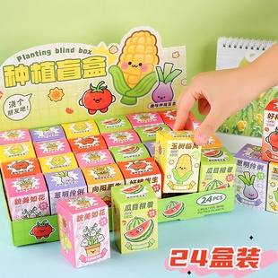 开学礼物学生奖励小礼品实用DIY植物种植盲盒幼儿园儿童活动奖品