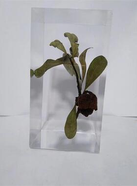 现代简约透明树脂浪花雕塑摆件酒店客厅玄关落地摆件装饰工艺品