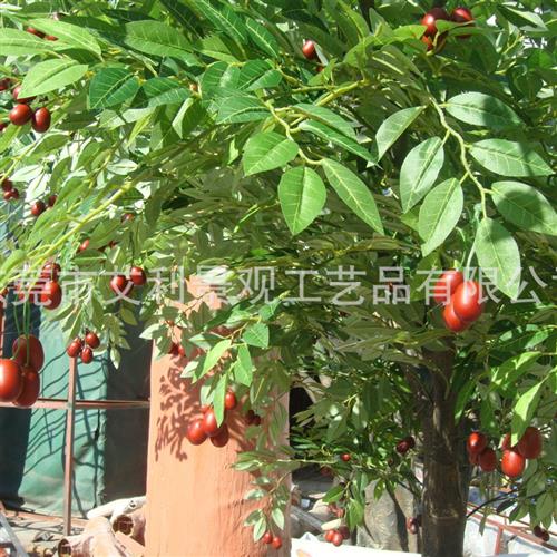 仿真核桃树大型仿真开心果树红枣树园林景观装饰仿真树绿植