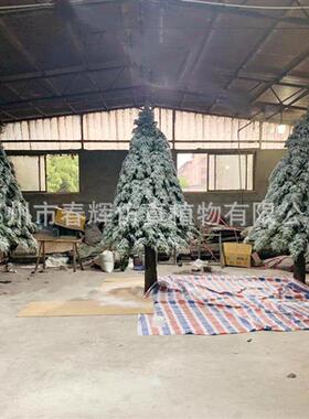 河南仿真雪松树雪松枝户外装饰仿真圣诞树各种植绒雪松枝