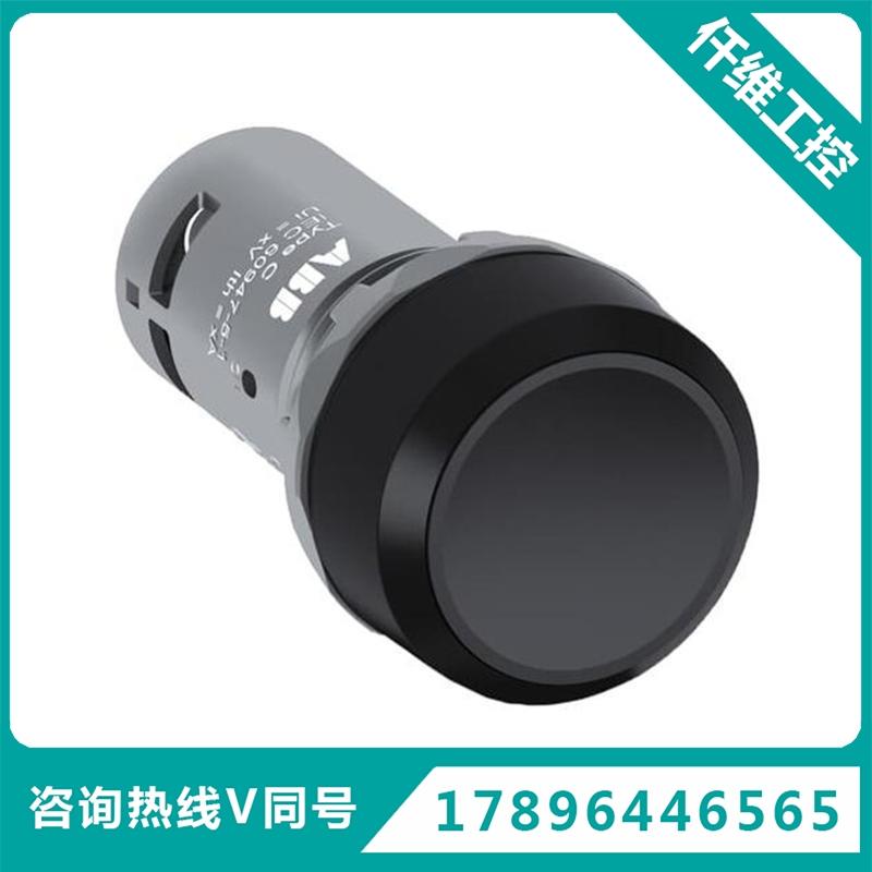 ABCP系列平头按钮1-1011