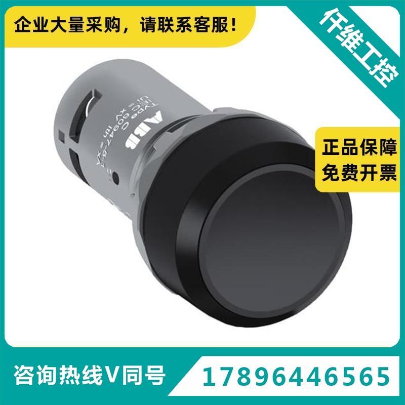 ABCP系列平头按钮1-1020