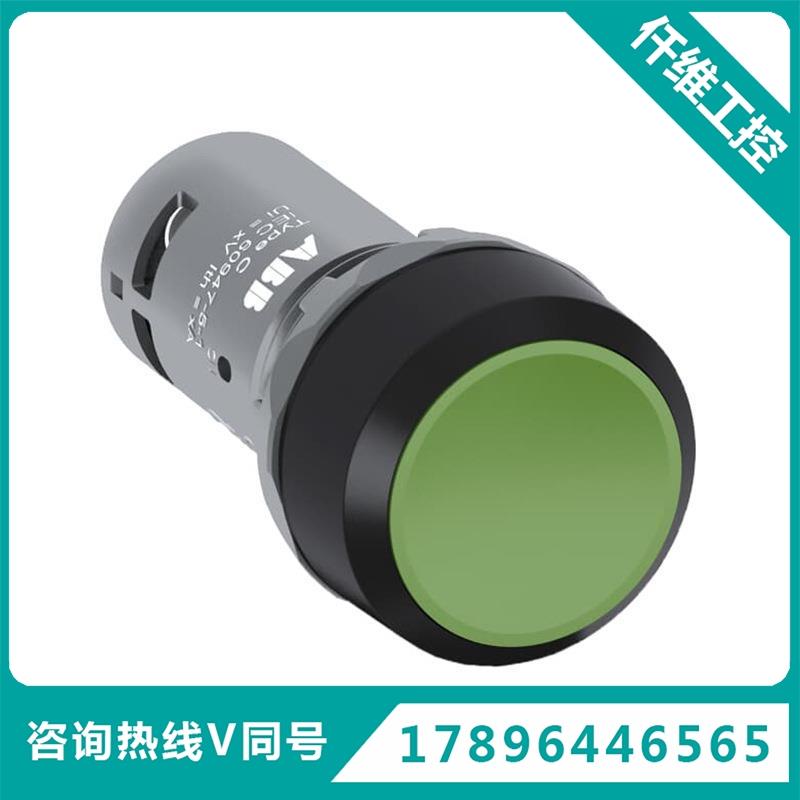 ABCP系列平头按钮2-10G1
