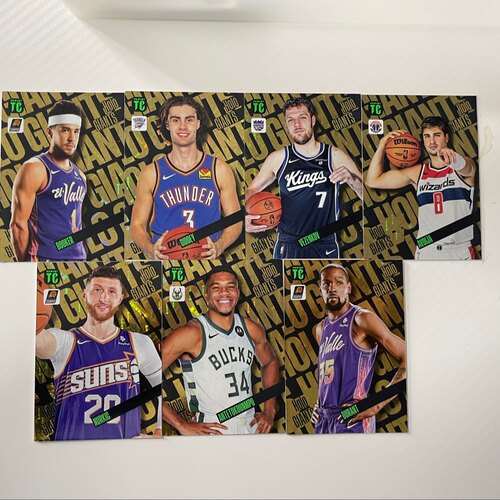 nba球星卡 2024 Panini Top Class TC holo giants全息特卡字母哥